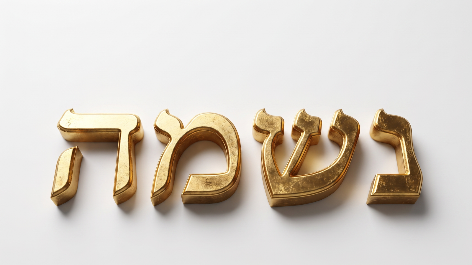 תוכנית הנשמה – ערכת פתיחה לבנים