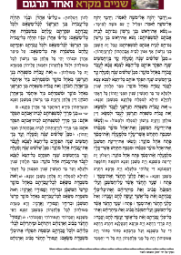 שנים מקרא ואחד תרגום - ספר במדבר